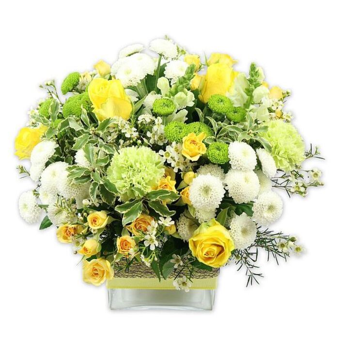 In this image, a vibrant floral arrangement in a square, low glass vase stands out crisply against a pure white background, every blossom and leaf clearly defined. The bouquet is arranged in a rounded, bountiful dome of sunny yellows, clean whites, and lively greens, reminiscent of the bright, open spaces along Bankside on a clear day. At the centre, classic yellow roses draw the eye, their petals unfolding slowly from tight cores into full, generous blooms. Interspersed among them, smaller yellow spray roses add layers of detail, their clustered heads echoing the primary roses while enhancing the sense of richness. White pompom chrysanthemums offer a contrasting texture, each densely packed, spherical bloom acting like a soft puff of cotton among the sharper rose petals. Lime green button chrysanthemums are placed carefully throughout the design, each small, round head a distinct, zesty accent that enlivens the palette and lends the piece a modern, almost playful character. Larger, pale green, ruffled flowers-akin to green carnations or ornate chrysanthemums-provide gentle transitions between the bold yellows and pure whites, preventing harsh contrasts and adding a soft, almost mossy depth. The bouquet is enveloped by a variety of greenery: broad, variegated leaves etched with creamy margins; darker, glossy leaves offering structure; and light, airy sprigs that subtly break the symmetry and introduce a natural, garden-inspired feel. Tiny white filler flowers are dotted throughout, creating delicate highlights that guide the gaze across the arrangement. The clear glass vase reveals sturdy, aligned stems and is wrapped at its midpoint with a rustic, woven natural band topped with a lime green ribbon, which visually ties back to the green blooms above. Altogether, the composition suggests joy, renewal, and thoughtful care, making it a fitting choice for marking milestones, thanking a colleague, or brightening a riverside flat with local delivery from Bankside Florist.